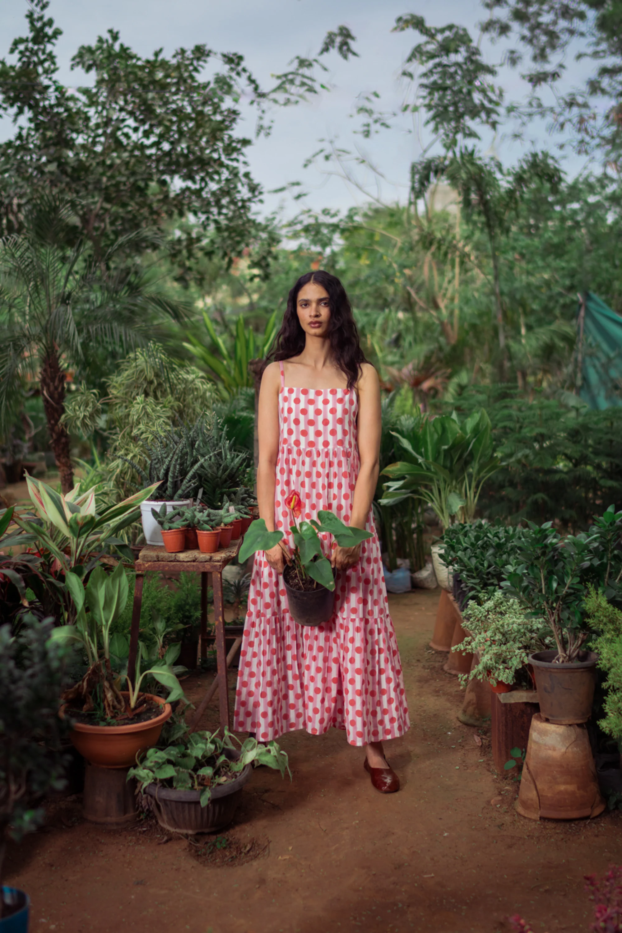 Oslo Dress in Pink Polka Stripe